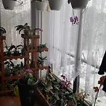 Kněžice U Apartamento *