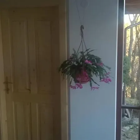Apartamento Kněžice U *
